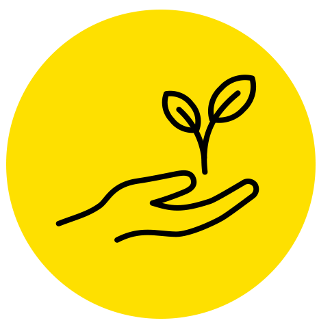 Icon of hand holding plant